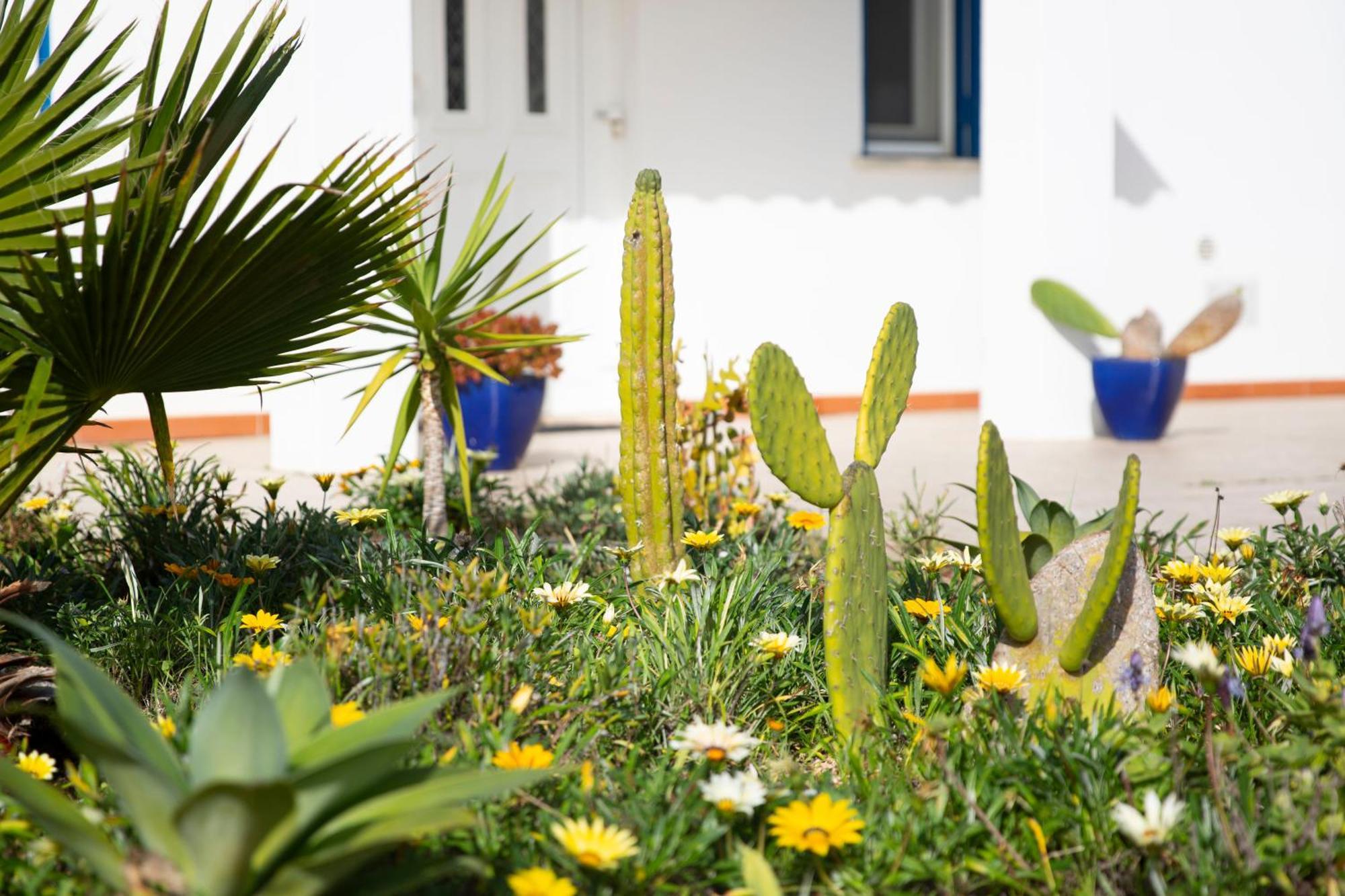 Marecasa Villa Aljezur Bagian luar foto